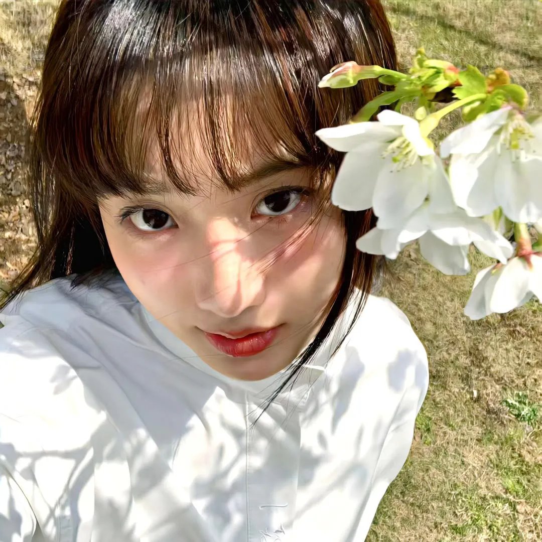 梦墙